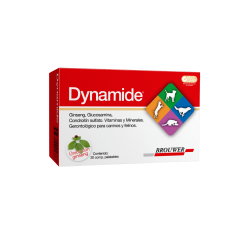 DYNAMIDE x 30 comp