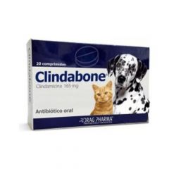 CLINDABONE 165 mg X 20 COMP
