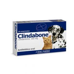 CLINDABONE 165 mg X 20 COMP