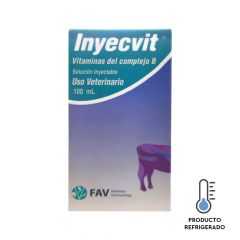 INYECVIT FCO AMP. 100 ml