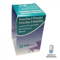 PENICILINA PROCAINA BENZATINA 100 ml