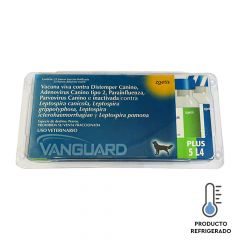 VANGUARD PLUS SEXTUPLE 5 L4 x 25