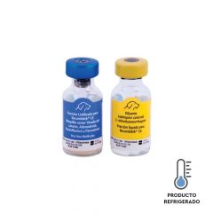 RR RECOMBITEK C6 (SEXTUPLE) 25 DOSIS