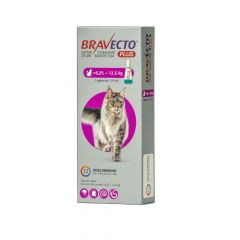 BRAVECTO GATO PLUS 500MG (6,25-12,5 KG)