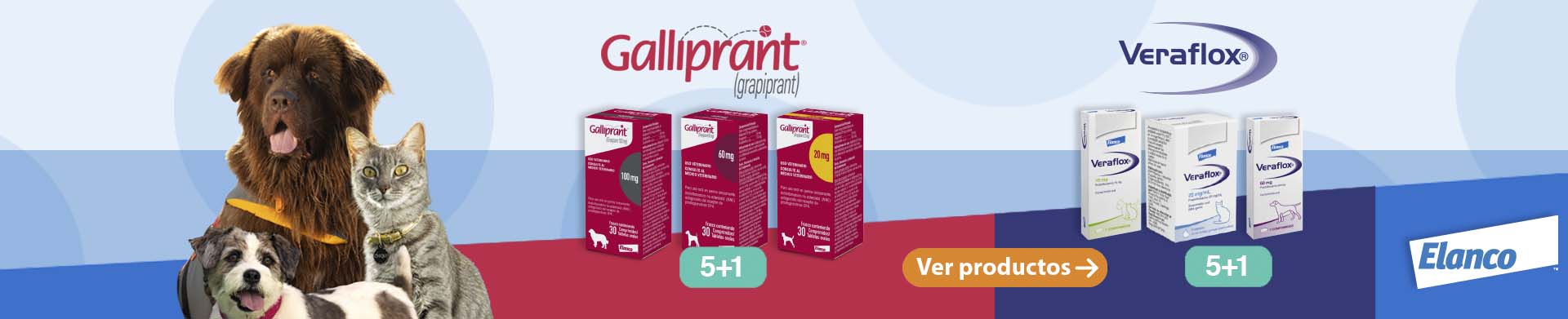 https://diprovet.cl/promociones.html?manufacturer=elanco