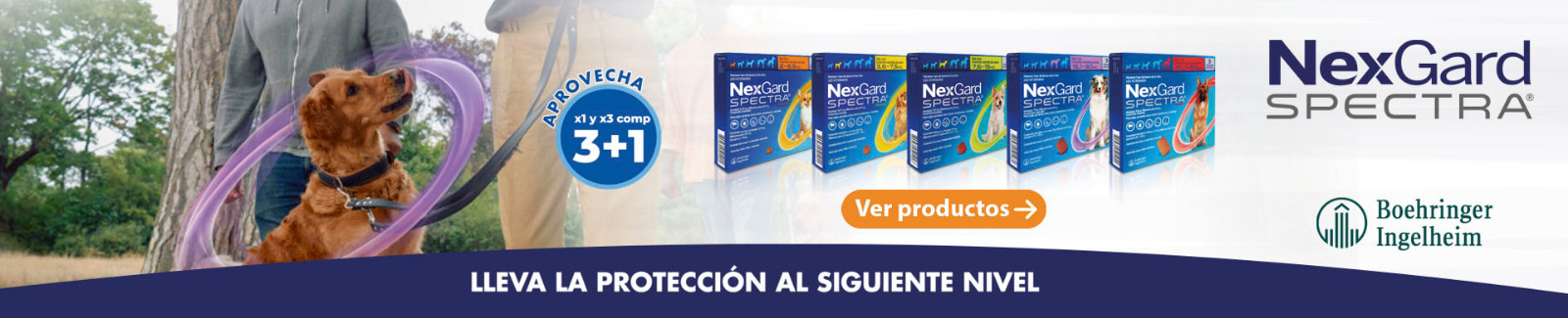 https://diprovet.cl/catalogsearch/result/?q=nexgard